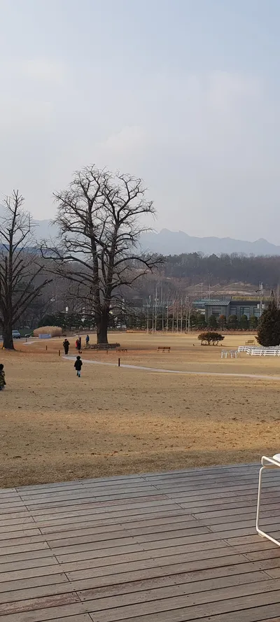 公園・庭園