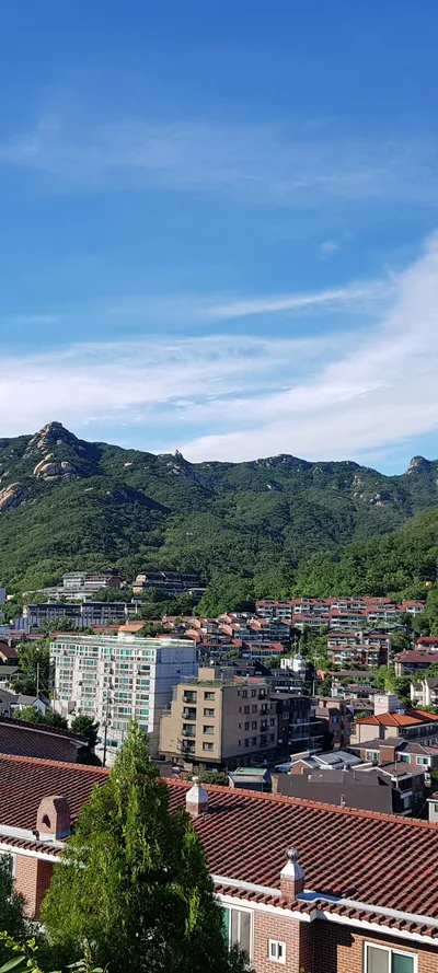 Korean architecture & mountain & nature aesthetic wallpaper for phone