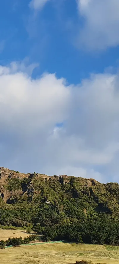 Korean mountain & nature & park aesthetic wallpaper for phone