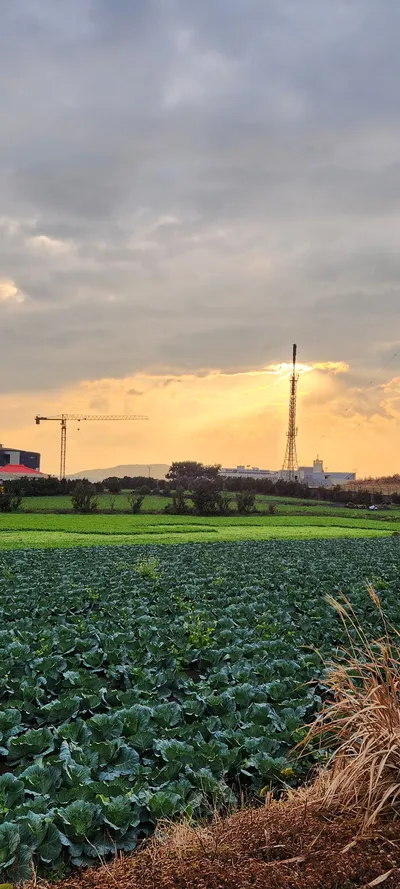 Korean nature & sunset aesthetic wallpaper for phone