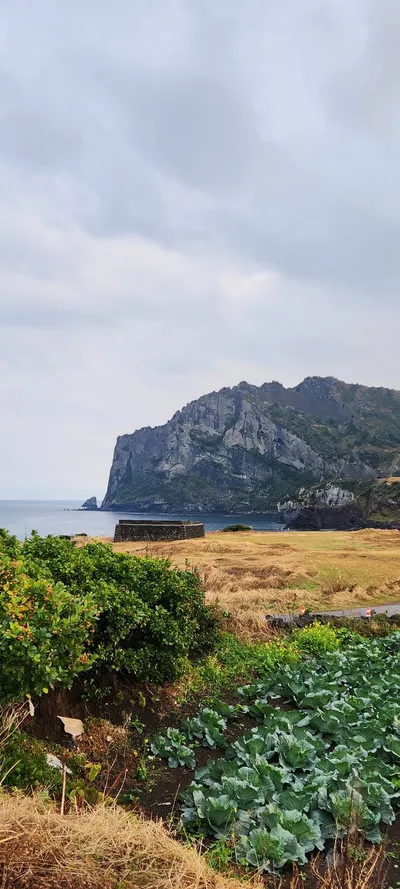 Korean sea & mountain & nature aesthetic wallpaper for phone