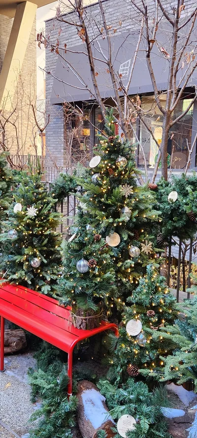 Korean cafe-culture & street & aesthetic aesthetic wallpaper for phone