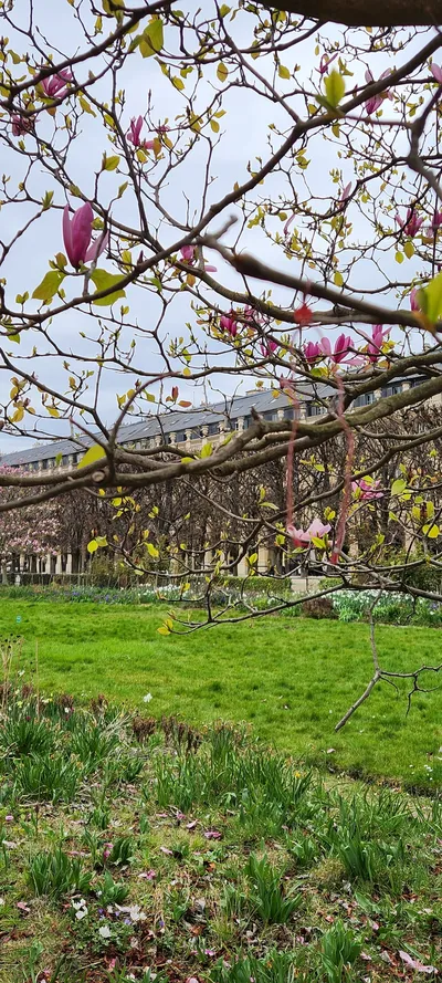 Flowers & Parks & Gardens travel wallpaper