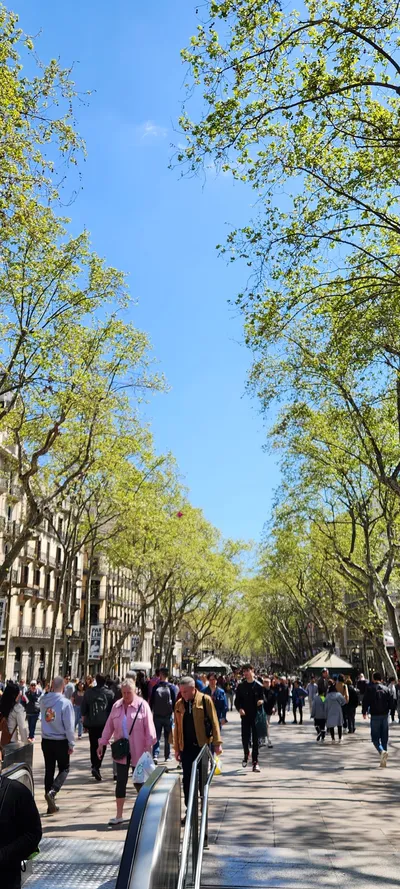 Street & Parks & Gardens & Alleyways travel wallpaper