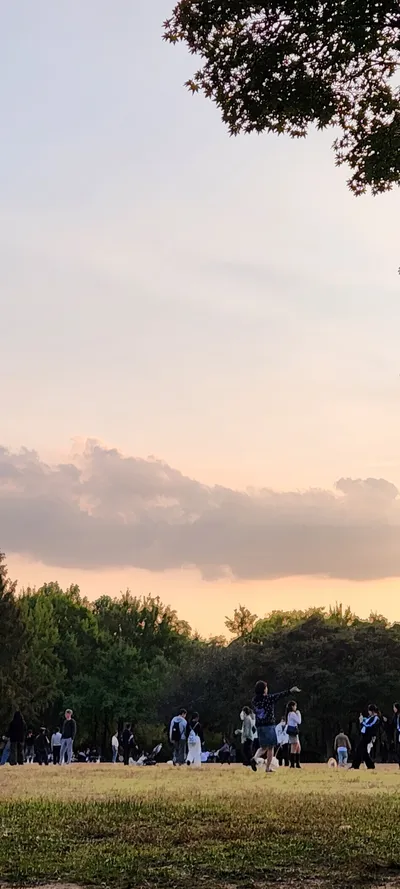 Korean park & sunset & nature aesthetic wallpaper for phone