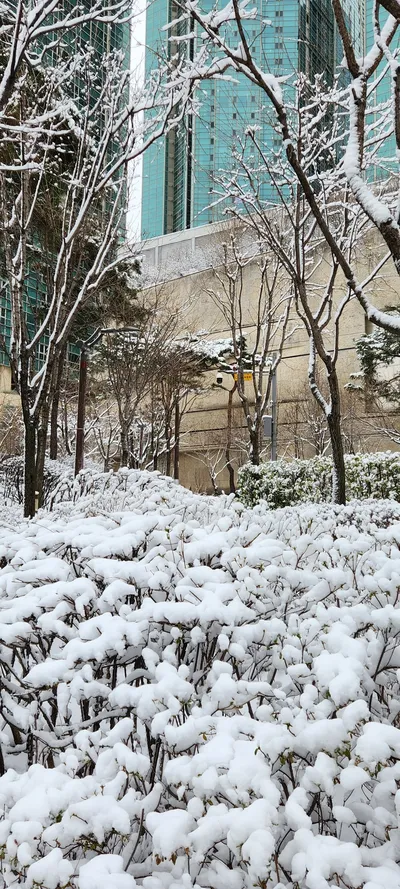 Korean nature & snow & architecture aesthetic wallpaper for phone