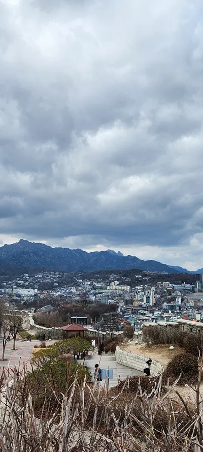 Korean nature & forest & mountain aesthetic wallpaper for phone