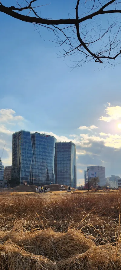 Korean architecture & park aesthetic wallpaper for phone