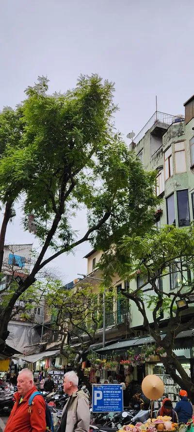 Vietnam Street & Architecture travel wallpaper