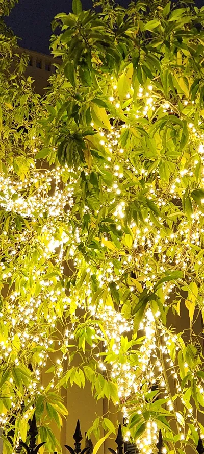Vietnam Nature travel wallpaper