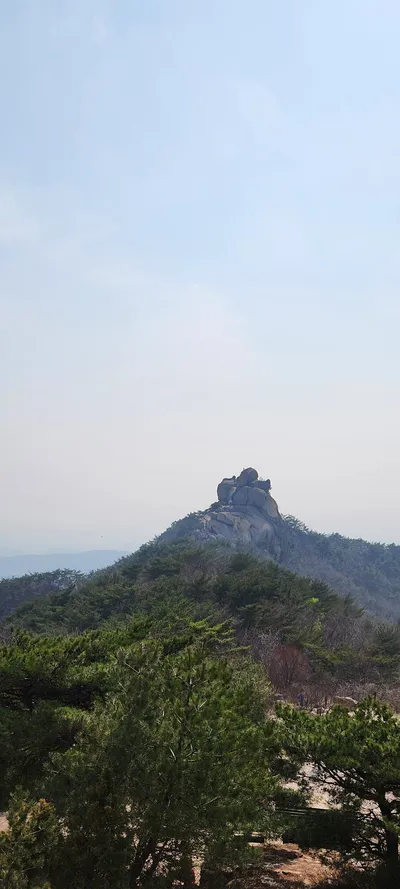 Korean mountain & nature & forest aesthetic wallpaper for phone