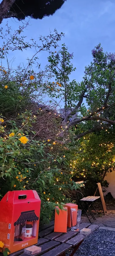 Korean cafe-culture & flower & nature aesthetic wallpaper for phone