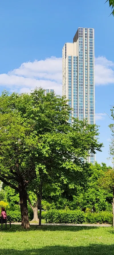 Korean park & architecture & nature aesthetic wallpaper for phone