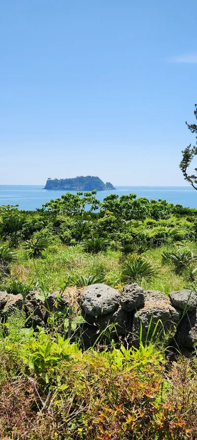 Korean nature & sea & forest aesthetic wallpaper for phone