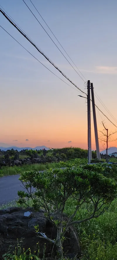 Korean nature & sunset & aesthetic aesthetic wallpaper for phone