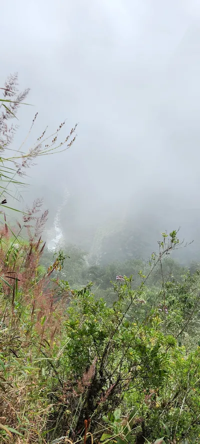 Nature & Forest travel wallpaper