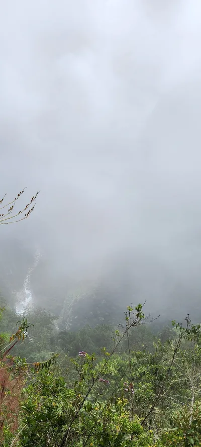 Nature & Forest travel wallpaper