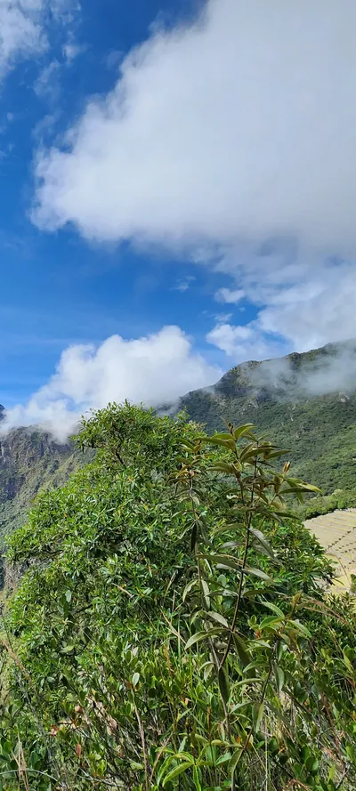 Machupicchu, Peru