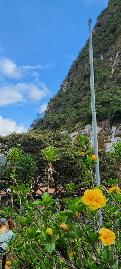 花・山・トレイルの旅の壁紙