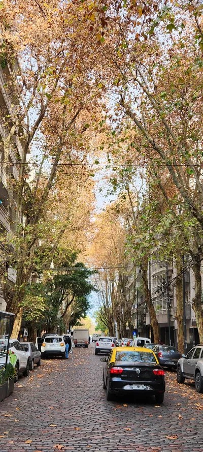 Argentina Street & Autumn & Alleyways travel wallpaper