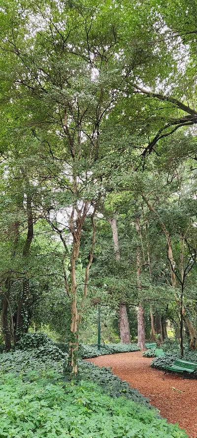 Parks & Gardens & Forest & Nature travel wallpaper
