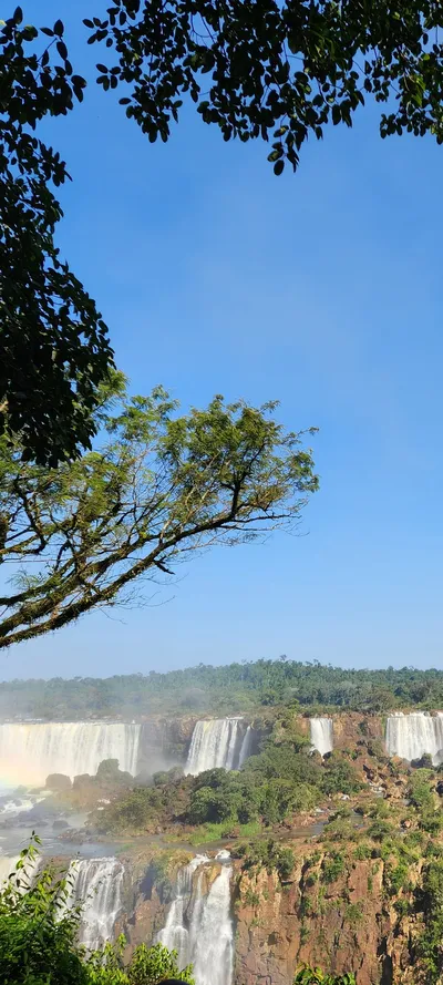 Brazil Nature & Forest travel wallpaper