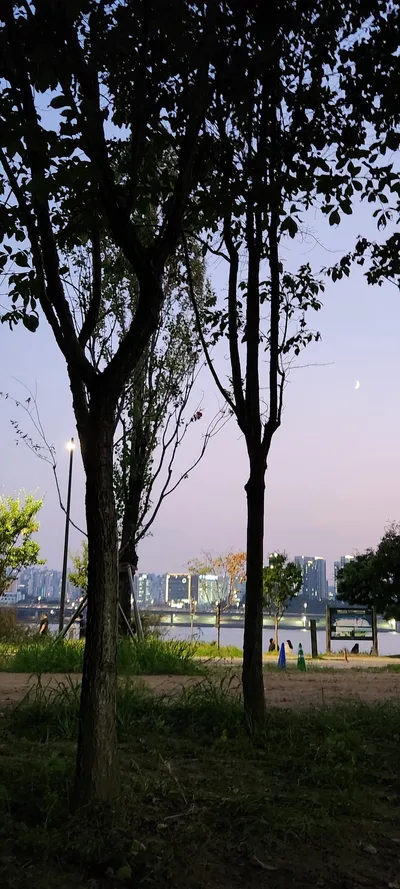 Korean nature & river & park & sunset aesthetic wallpaper for phone