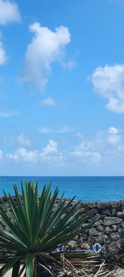 Korean Nature & Sea & Coast aesthetic wallpaper for phone