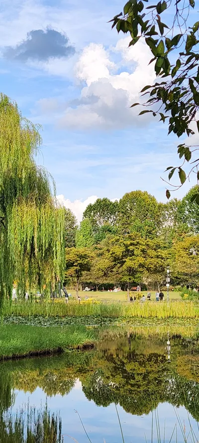 Korean nature & park & river & forest aesthetic wallpaper for phone