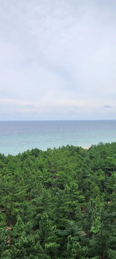 Korean nature & sea & forest aesthetic wallpaper for phone