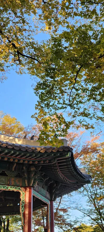 Korean nature & autumn & hanok & architecture aesthetic wallpaper for phone