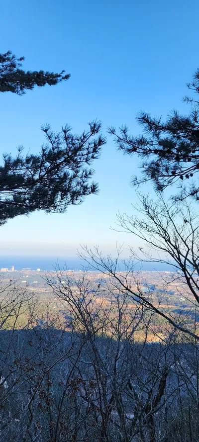 Korean nature & mountain & forest aesthetic wallpaper for phone