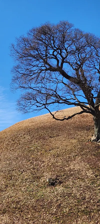 Jungbu-dong, Gyeongju-si