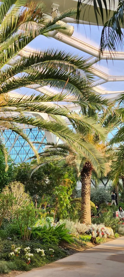 Korean nature & park & flower aesthetic wallpaper for phone