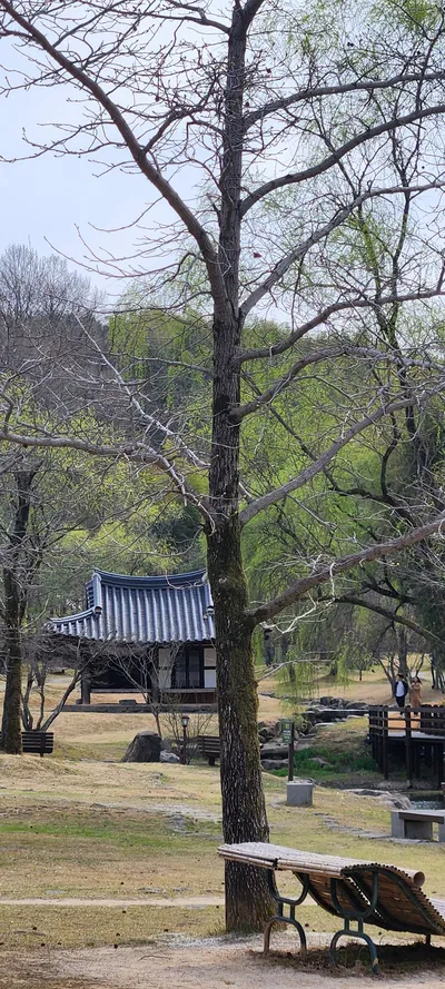 Korean nature & hanok & park & forest aesthetic wallpaper for phone