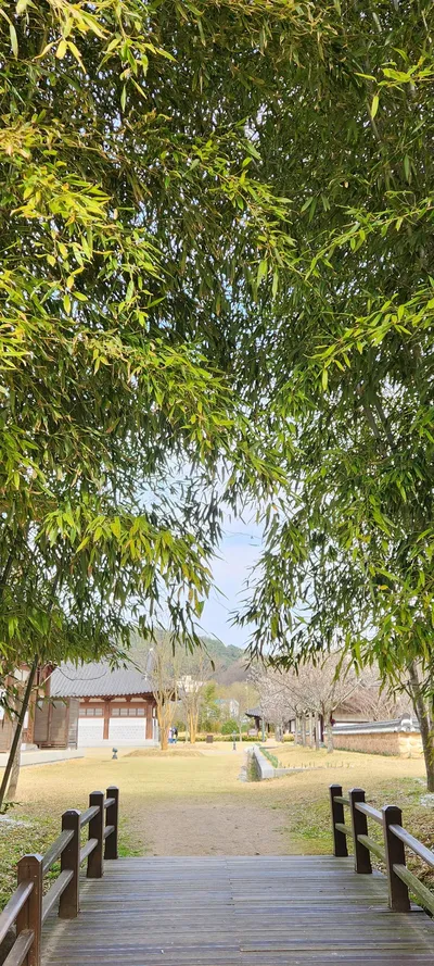 Korean nature & forest & hanok & park aesthetic wallpaper for phone