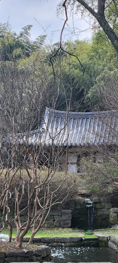 Korean nature & hanok & forest & river aesthetic wallpaper for phone