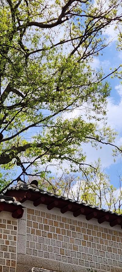 Korean hanok & nature aesthetic wallpaper for phone