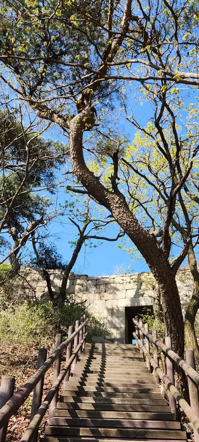 Korean mountain & forest & nature aesthetic wallpaper for phone