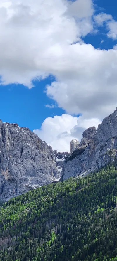 Mountains & Trails & Forest travel wallpaper