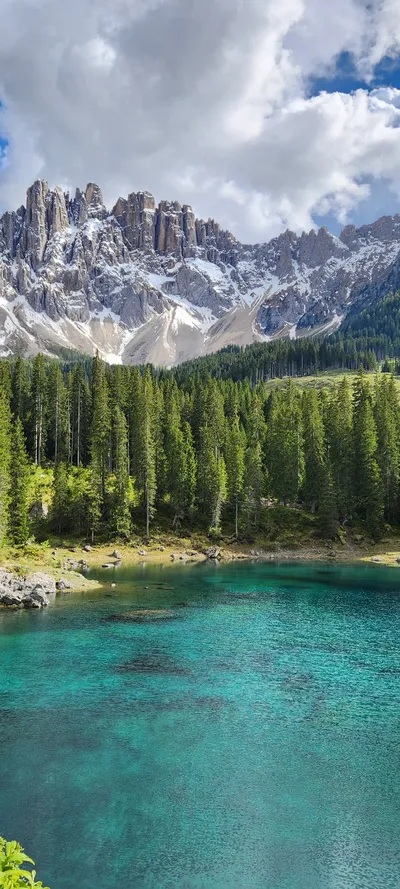 Mountains & Trails & Forest travel wallpaper