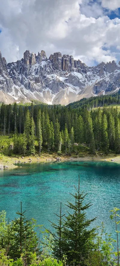 Mountains & Trails & Forest travel wallpaper