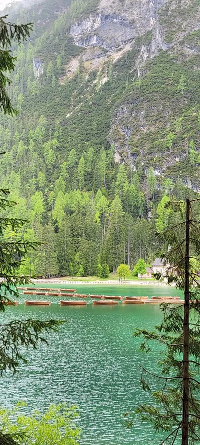 Sea & Coast & Forest & Mountains & Trails travel wallpaper