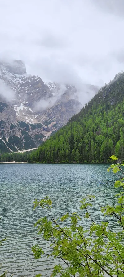 Sea & Coast & Mountains & Trails & Forest travel wallpaper