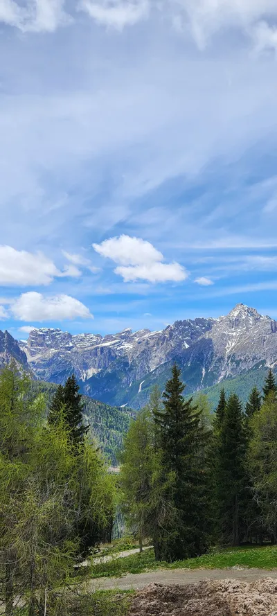 Mountains & Trails & Forest & Nature travel wallpaper