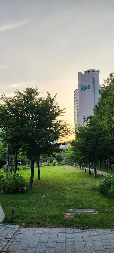 Korean park & sunset & nature aesthetic wallpaper for phone