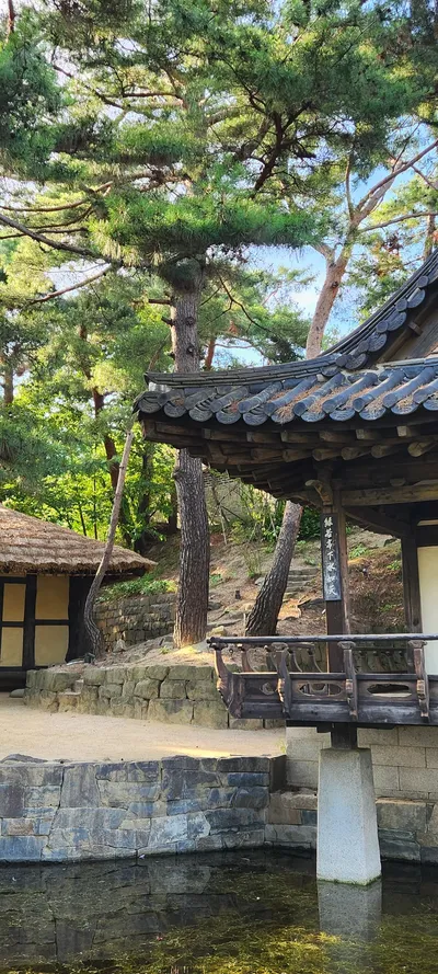 Korean hanok & nature & forest aesthetic wallpaper for phone
