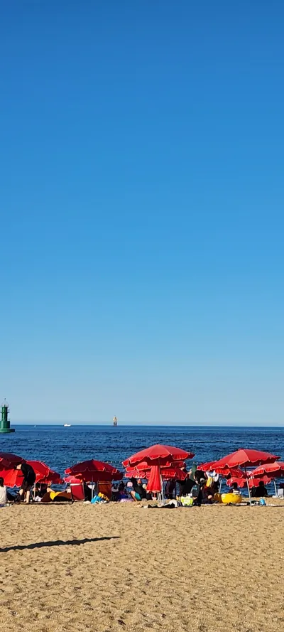 Korean Sea & Coast & Nature aesthetic wallpaper for phone