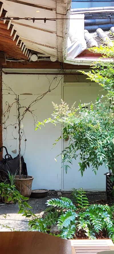 Korean hanok & cafe-culture & nature aesthetic wallpaper for phone