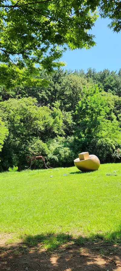 Korean park & nature & forest aesthetic wallpaper for phone